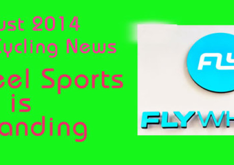 flywheel sports