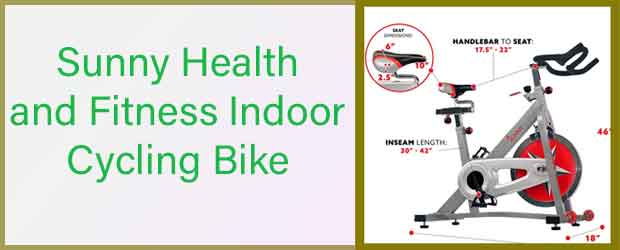 sunny indoor cycling bike