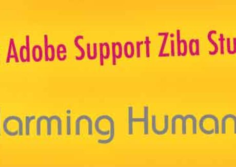 ziba studios reviews