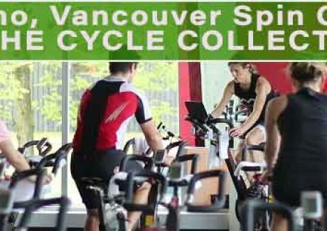 THE CYCLE COLLECTIVE