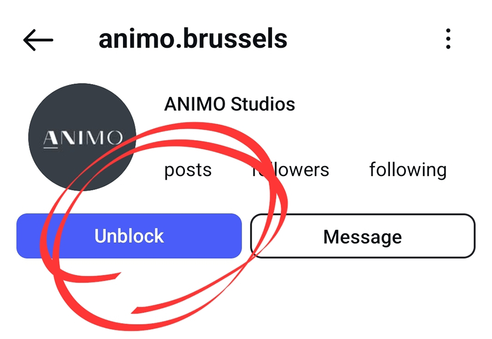 animo brussels