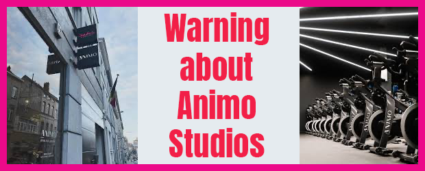 Animo Studios